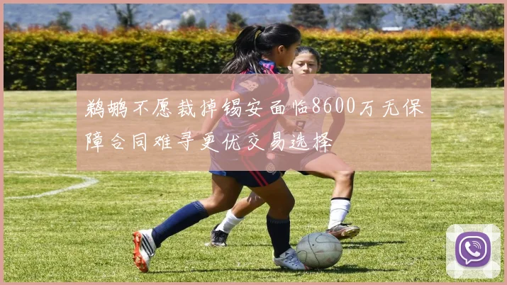 鹈鹕不愿裁掉锡安面临8600万无保障合同难寻更优交易选择