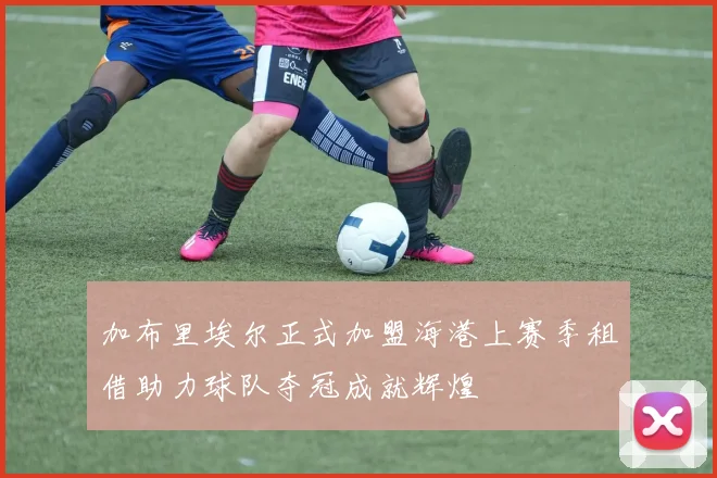 加布里埃尔正式加盟海港上赛季租借助力球队夺冠成就辉煌