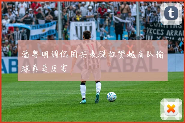 潘粤明调侃国安表现称赞越南队输球真是厉害