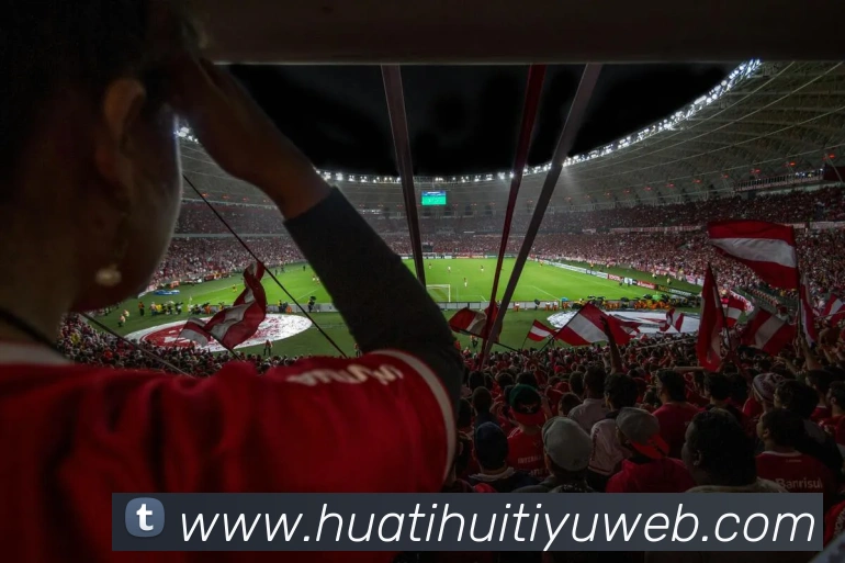 华体会体育平台生态图